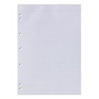 Writer Bond Office Pad A4 Lined 7 Hole Punched 50 Leaf 10 per Pack