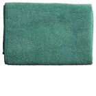 Oates Microfibre Thick All Purpose Cloth Green each