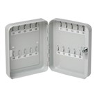 Esselte Key Cabinet 20 Key Capacity