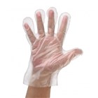 Bastion Disposable Gloves Polyethelene Clear Large Pack 500 10 per Carton