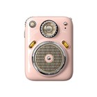 Divoom Beetle FM Speaker Pink