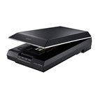 Epson V600 Scanner