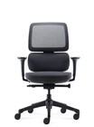 Orca Chair