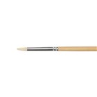 Jasart Paint Brush 582 Round  Size 2