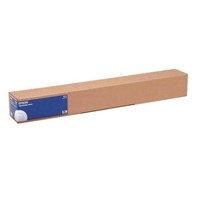 Epson Paper Media Roll Singleweight Matte 17inches