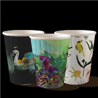 BioPak Wall Cup Double Art Series 12oz 1000 Carton