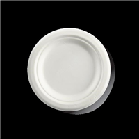 Biopak BioCane Plates Round 6inch White Pk125 4 per Carton