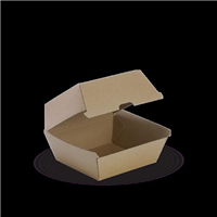 Biopak BioBoard Burger Box 85x105x105mm Mix Kraft 250 Carton