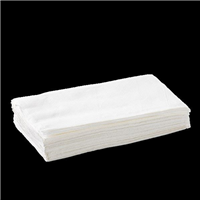 Biopak BioNapkin Single 1Ply Pk500