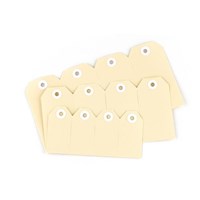Avery Shipping Tags No 8 160x80mm Buff 1000 Box
