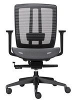 Oasis Mesh Chair